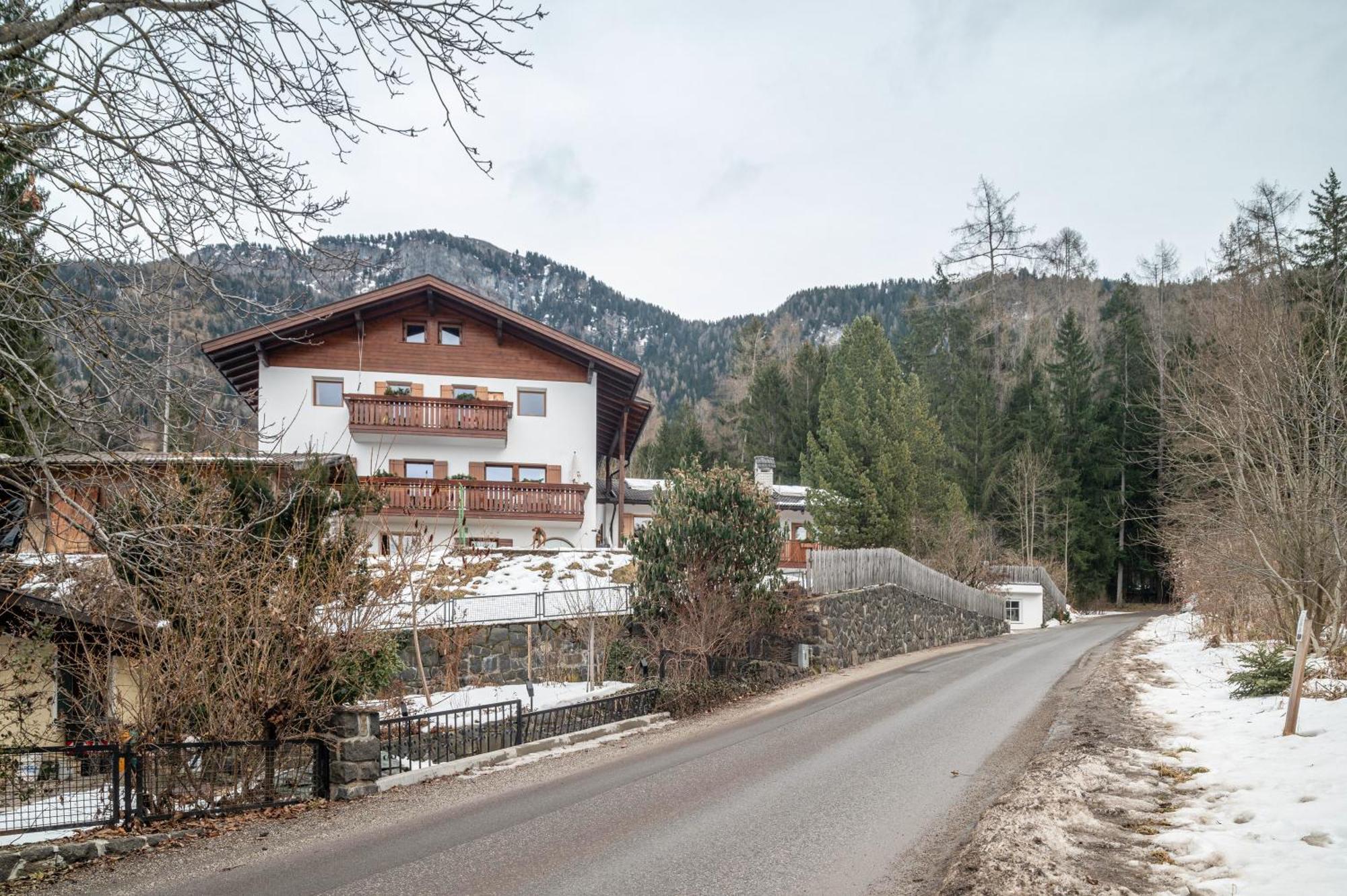 Ferienwohnung Toni II Alpe di Alpe di Siusi Extérieur photo
